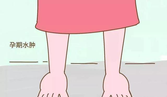 『你的育儿经』幸孕的奇迹120天