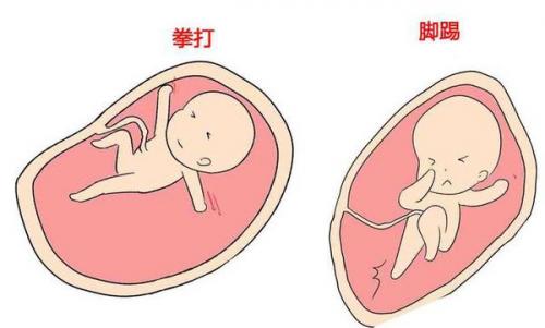 「你的育儿经」和妈妈合体的日子，胎儿在肚子里都做些啥？原来活动竟如此丰富