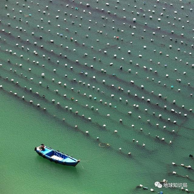 产量|全中国的海鲜主要靠这四个省扛…