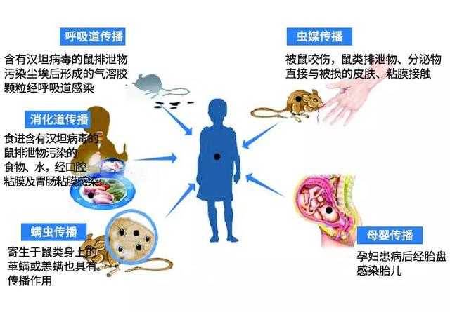 一男子高烧以为是新冠，却没想到是这个病！罪魁祸首是一罐装饮料