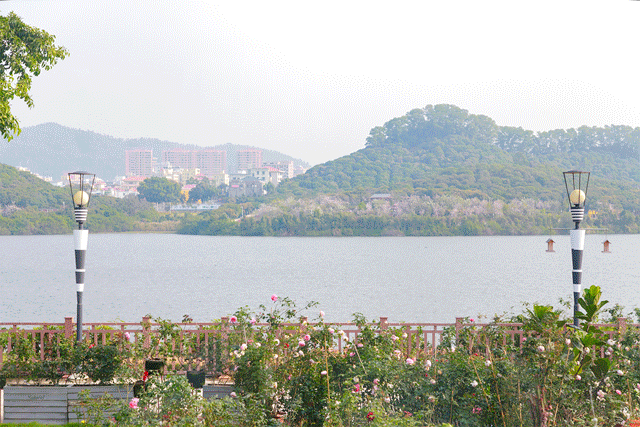 玩乐足迹▲等疫情结束，这73个绝美公园一定要去看看！