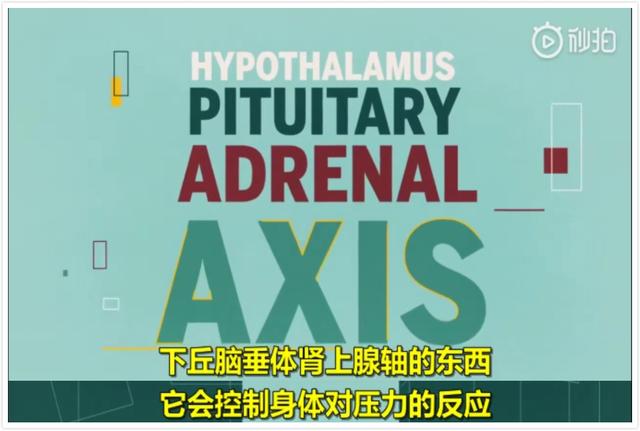 你的育儿经：萌娃怕挨打花式劝妈：打骂不是教育，只会伤害孩子大脑