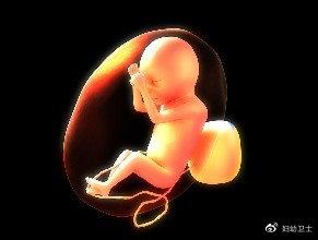 超级宝妈|孕产期影响宝宝智商的因素很多，准妈妈一定要了解