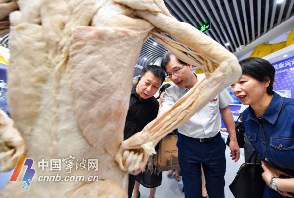 生命|宁波首个人体生命科学馆开馆