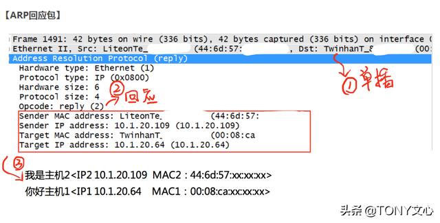 ARP协议及ARP中间人攻击(TCP/IP协议)