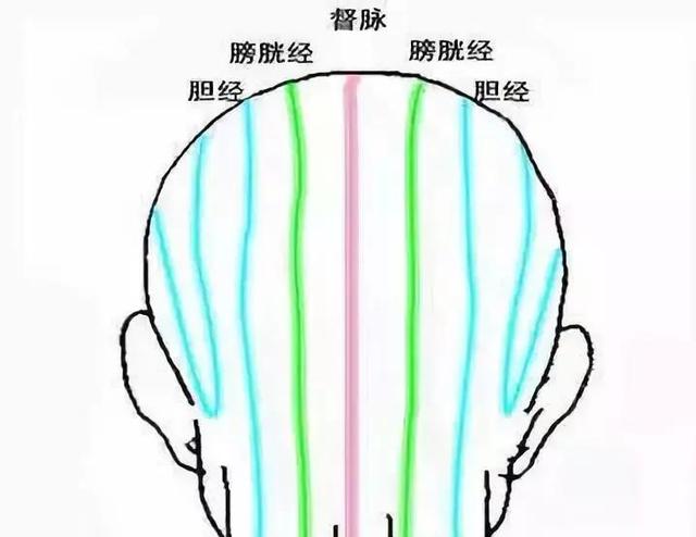 脱发、白发的中医调养方案，快试试吧