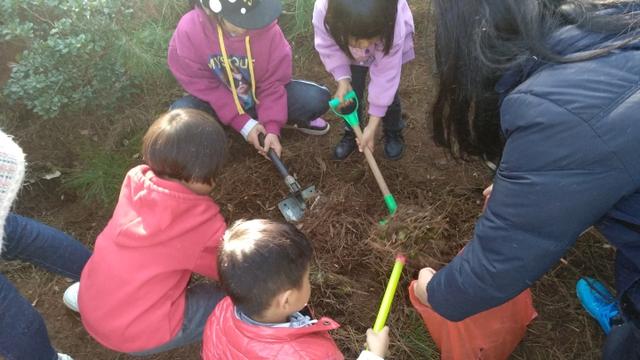 富源县营上镇中心幼儿园开展幼儿种植体验活动