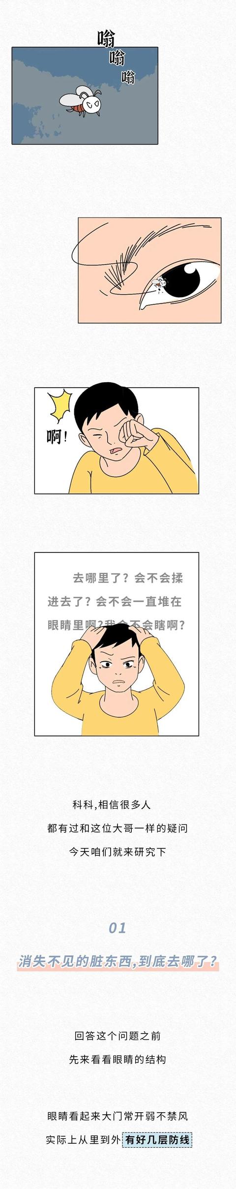 眼睛|眼睛里没揉出来的脏东西，最后都去哪里了？