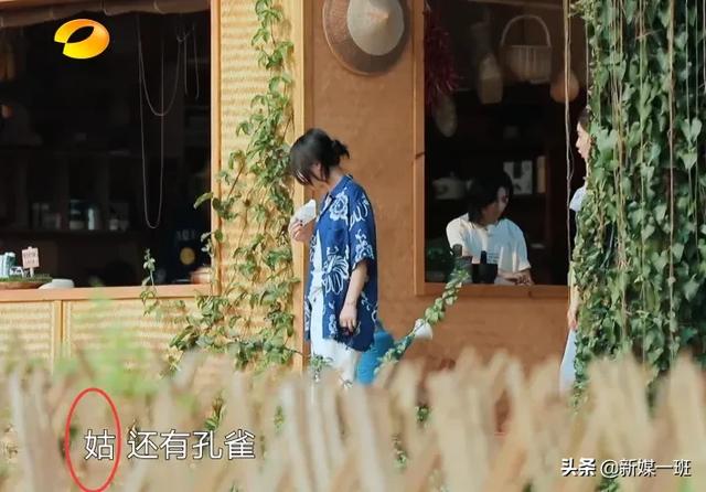 《向往4》最胆小女明星！缩角落不敢抢镜头，跟周迅关系不一般9号放映厅