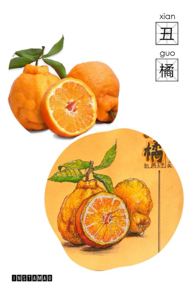 你的育儿经■少儿美术教育停课不停学||亲子绘画水果线描写生零基础教程
