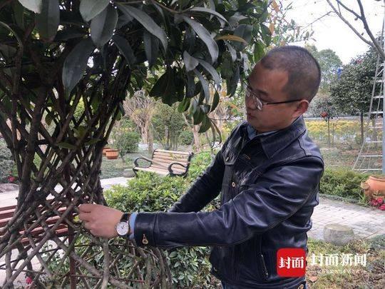 封面新闻:温江花卉苗木的“转型”之路:传统农业更需要拥抱互联网