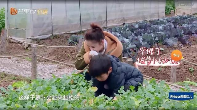 「影视交流地」黄圣依被5岁儿子嫌弃却获赞无数：用百科书喂大的孩子眼界不一般