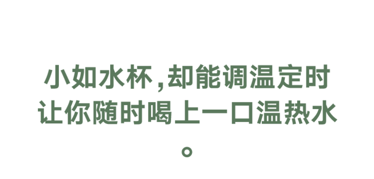 温度|一只小水杯：烧水、煮茶、炖汤全都会，秋冬暖胃正合适