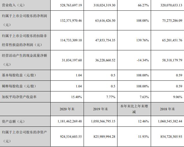 安靠智电2020实现净利1.32亿元 同比增108.08%