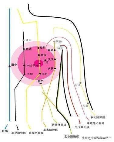 「你的育儿经」产后母乳不足,宝宝不够吃,两种情况对号入座,帮你成功追奶