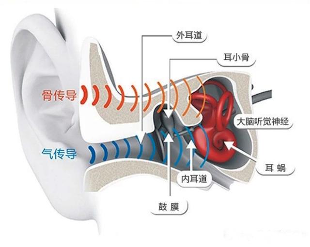 这个箍它不紧还舒适：韶音AS800骨传导运动耳机