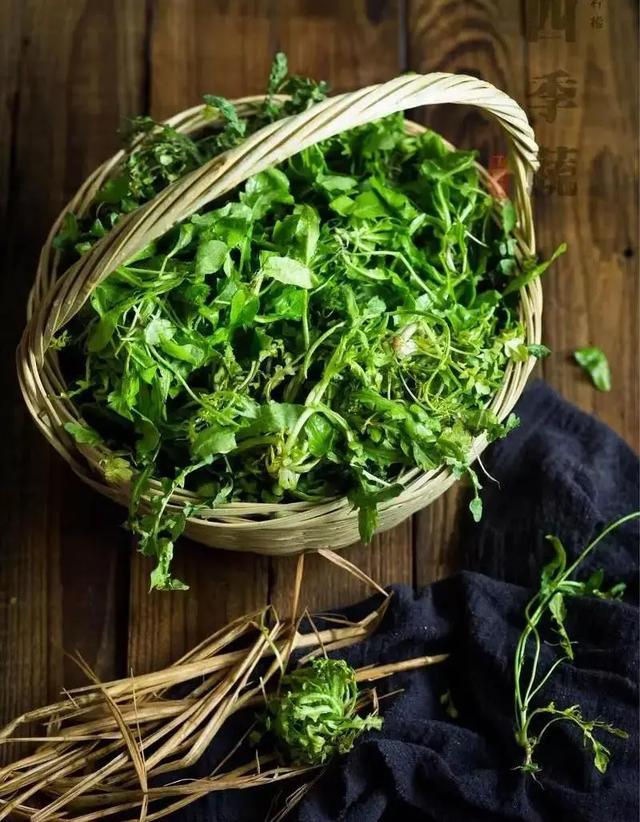 枸杞|春分吃春菜！江南这些带“头”野菜，我带头尝鲜啦