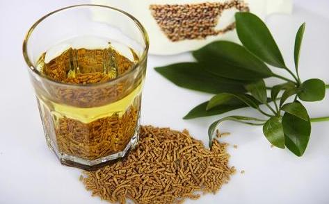 苦荞|夏日消暑解渴来杯苦荞茶
