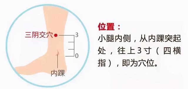 《疏调养生谈》针灸—疏调气机法预防更年期（肝郁气滞证）