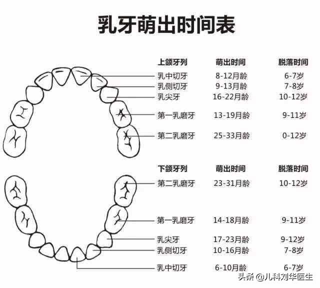 婉转应和|如何缓解宝宝出牙不适