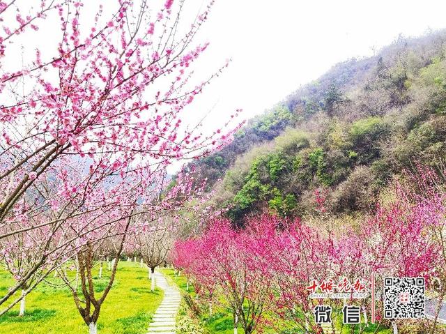 趣旅游@【十堰】十堰首家!这个景区今天复工!