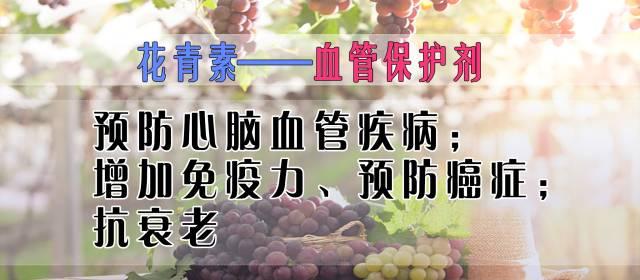 一颗葡萄，降脂、抗衰老，保护心血管！好处多，但很多人不知道