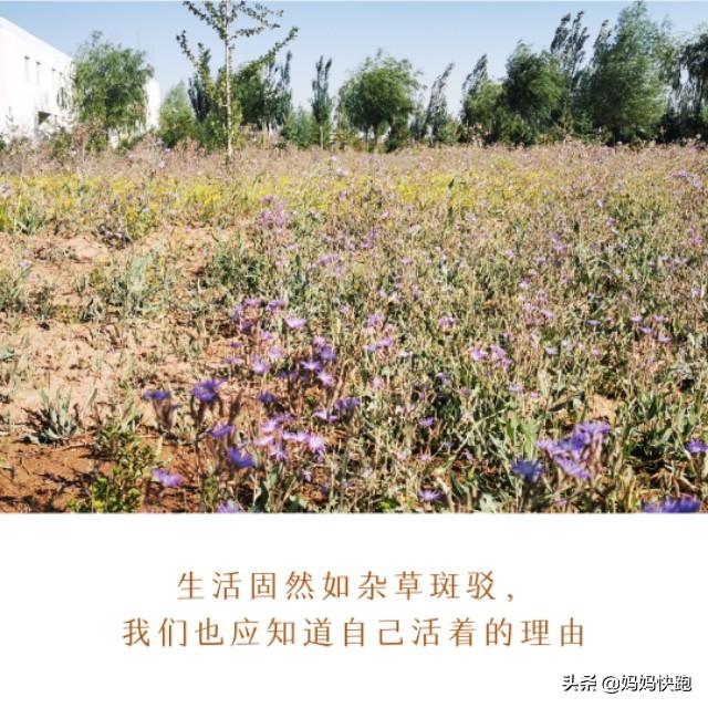 幸福之家|作为一个接近奔溃的全职妈妈，该如何找到生活的意义？