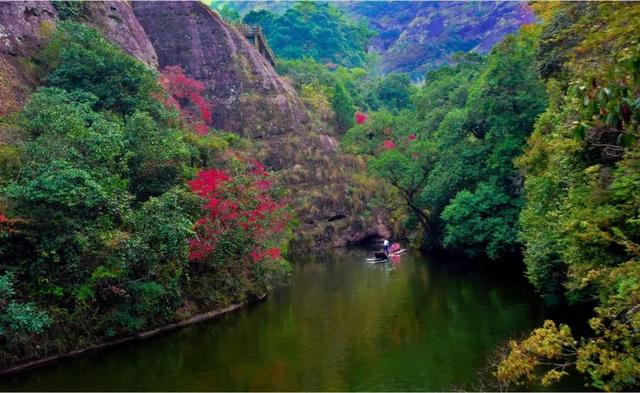 #约吗旅行#中国绿都 最氧三明 | 春来希望至，暖风拂过洒满阳光的大金湖