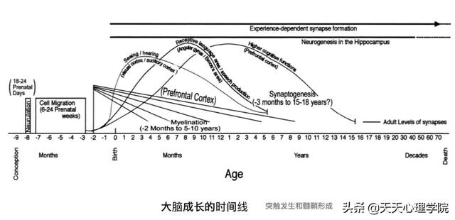 你的育儿经|育儿干货：提升儿童专注力的三大误区与六个典型问题