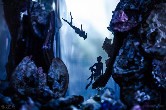 花一样的青春|怀孕8个月攀岩滑雪走钢丝：只是拍个孕妇照，要不要这么拼？