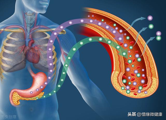 「惜缘健康科普」重新认识关节炎，找到病因是康复的起点