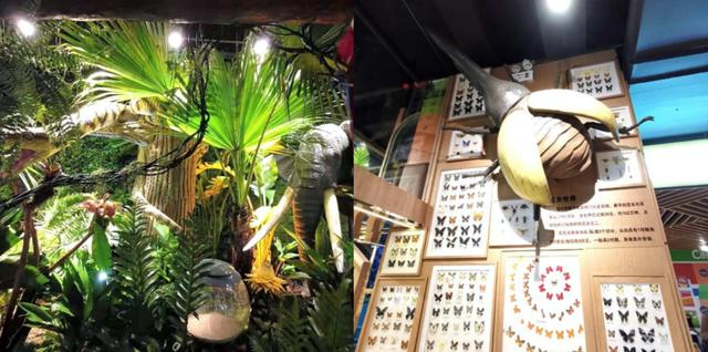 北外滩|年中全面开业的北外滩来福士首店新概念店将占30%，快看看有哪些？