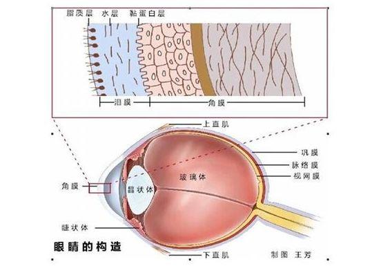 金牌大叔|保护眼睛必须要知道的一些知识
