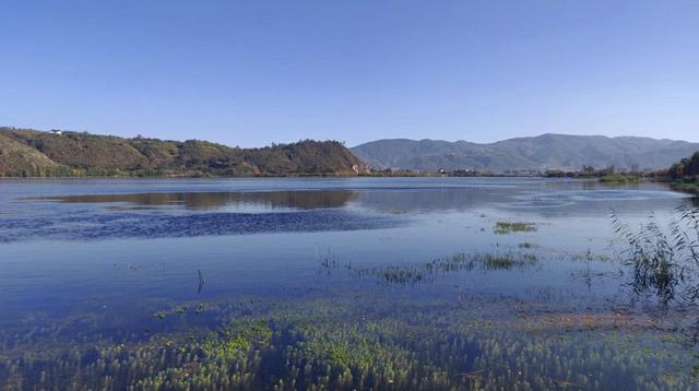 「约吗旅行」云南大理也有个“西湖”，比洱海更干净。这里更是鸟类的天堂。