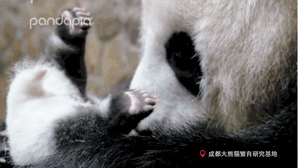 超级宝妈▲小朋友，你是否有很多问号？