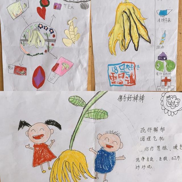 佛手|当孩子遇到佛手，会一场怎样的深秋邂逅？既是非同寻常的中医体验，更是传承着中华文化