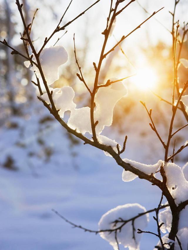 阿健节气养生小课堂④ | 大雪补得当，一年不受寒