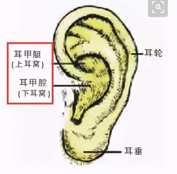 老中医教你七种方法拉拉耳朵，养肾止痛，延年益寿