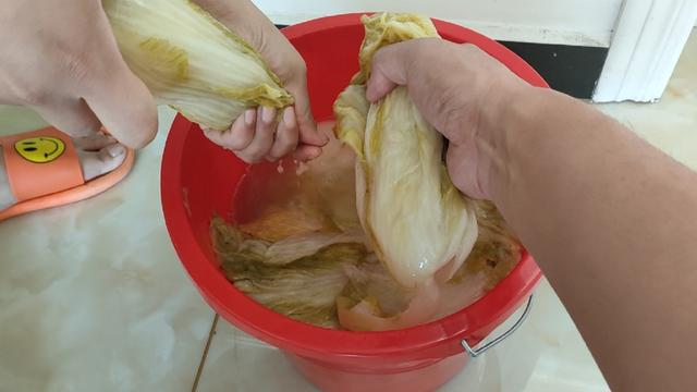 酸菜馅饺子这样调馅才好吃，味道正宗，酸香爽口，一次至少吃2盘