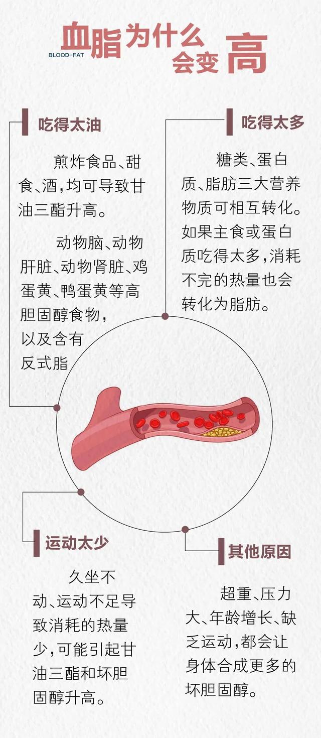 一图读懂「体检异常」：超4亿国人的血脂悄悄越界了