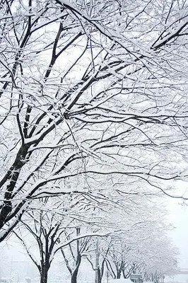 冬季留神健康隐患“御寒宝典”请收好