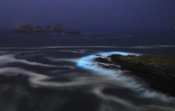 惊艳!“蓝眼泪”奇观再现浙江|光明网