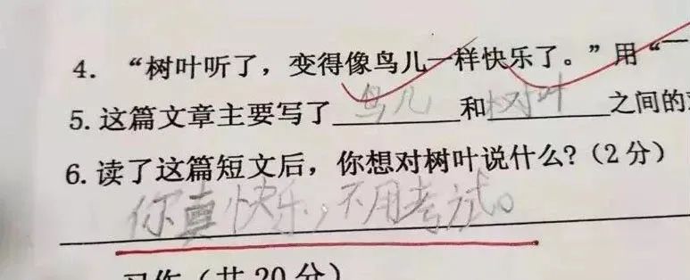 「文字上的青年」“寒假作业被我妈炒菜了”，千万不要随便动小学生的作业