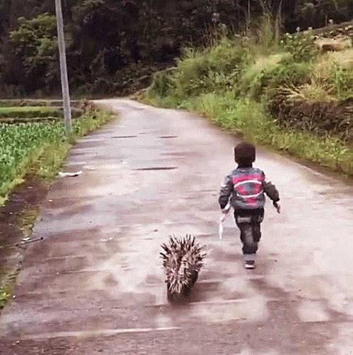 你的育儿经■小孩被同伴打哭，立马带“凶兽”去复仇，父亲知道后，赶紧追