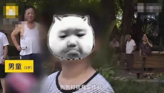 素衣飘扬|熊孩子玩火理由你能看懂几个？暑假前给家长们支招...