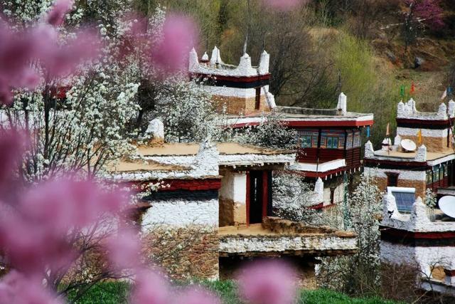 「旅行柚子君」天上云海！地上花海！这些冒着仙气的地方，竟藏了中国最美风景