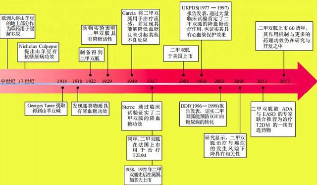 糖尿病|二甲双胍的传奇故事：花了整整70年，它才历经磨难成为经典