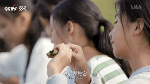 栀蓝：让1000万人又笑又哭的“人生第一次”：我们的孩子，好像一眨眼就长大了