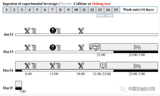 喝乌龙茶能“边睡边减肥”？一项随机对照双盲试验如是说...