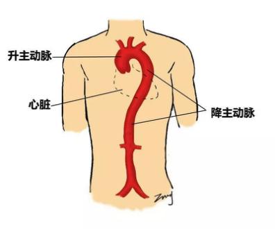 36岁男星黄鸿升因它去世！寒冬到，警惕这个“隐形杀手”